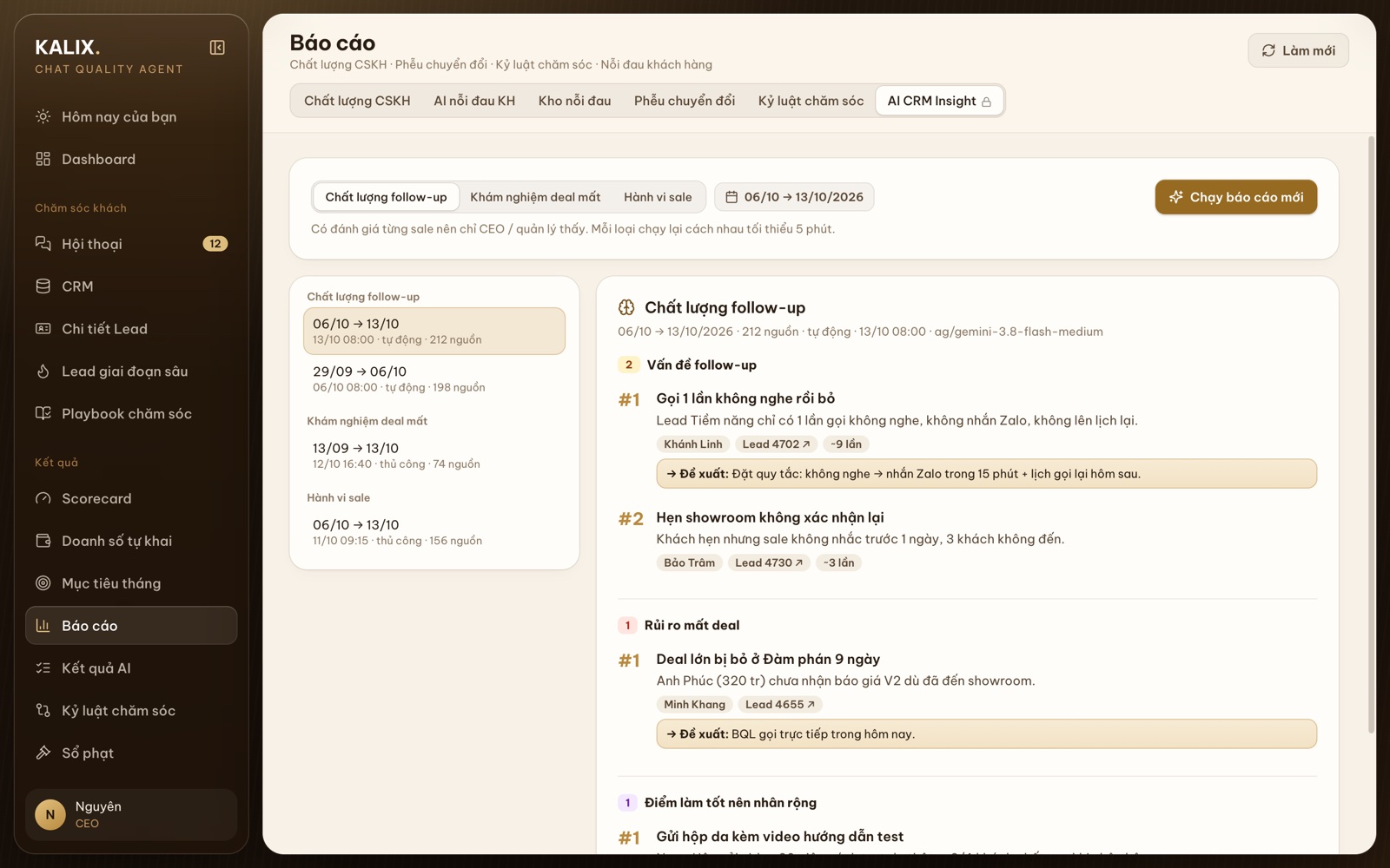 AI CRM Insight